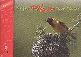 Kuşlar Nasıl ve Neden Yuva Yapar?