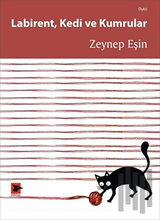 Labirent Kedi ve Kumrular