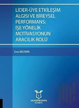 Lider-Üye Etkileşim Algısı ve Bireysel Performans: İşe Yönelik  Motivasyonun Aracılık Rolü