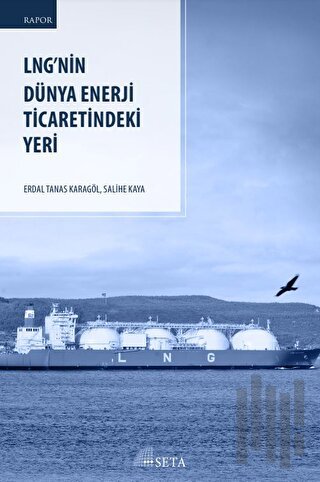 Lng’nin Dünya Enerji Ti̇careti̇ndeki Yeri