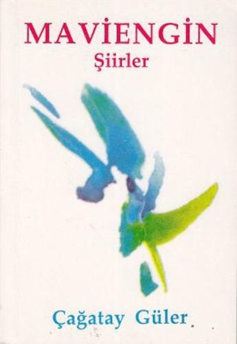 Maviengin | Kitap Ambarı