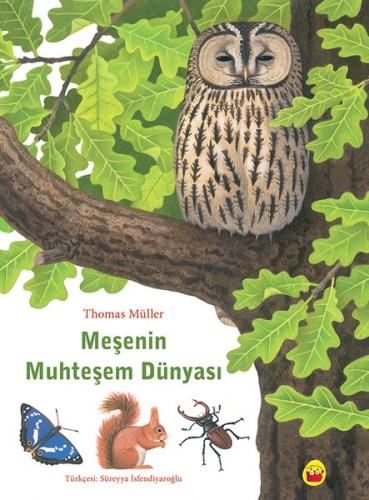 Meşenin Muhteşem Dünyası | Kitap Ambarı