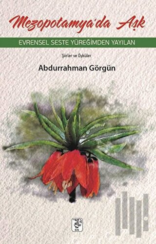 Mezopotamya'da Aşk | Kitap Ambarı