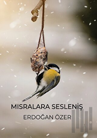 Mısralara Sesleniş