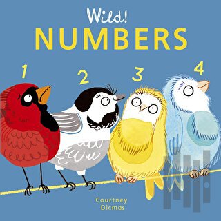 Numbers (Ciltli) | Kitap Ambarı