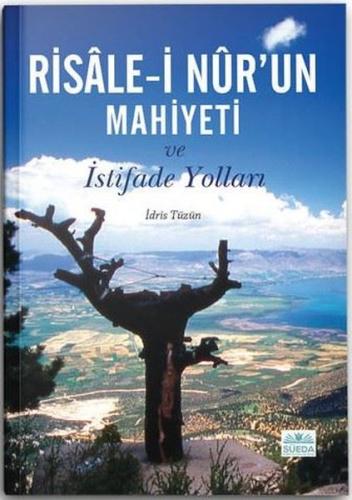 Risale-i Nur'un Mahiyeti ve İstifade Yolları