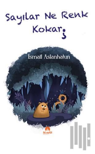 Sayılar Ne Renk Kokar | Kitap Ambarı