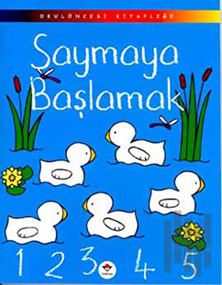 Saymaya Başlamak | Kitap Ambarı