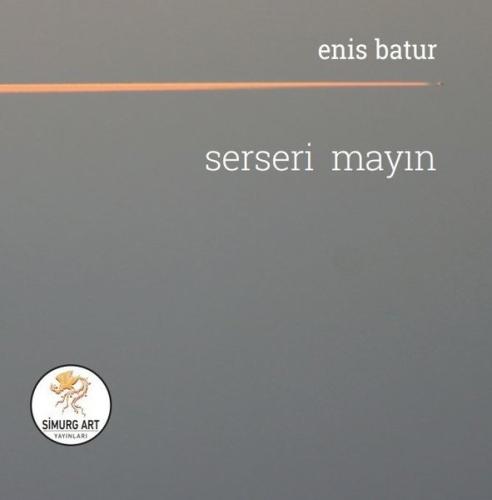 Serseri Mayın | Kitap Ambarı