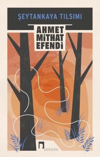 Şeytankaya Tılsımı | Kitap Ambarı