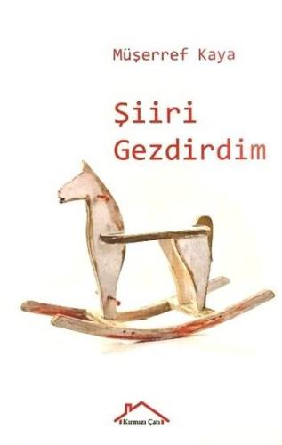 Şiiri Gezdirdim | Kitap Ambarı