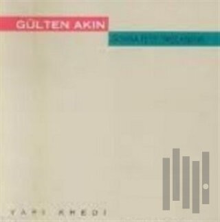 Sonra İşte Yaşlandım