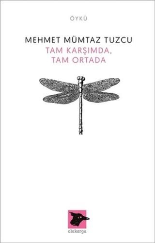 Tam Karşımda, Tam Ortada | Kitap Ambarı