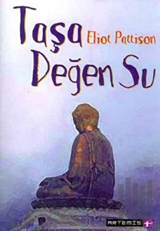 Taşa Değen Su