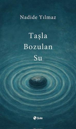 Taşla Bozulan Su | Kitap Ambarı