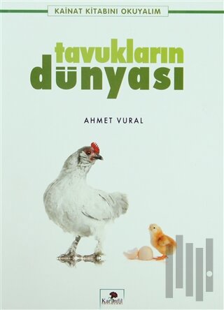 Tavukların Dünyası