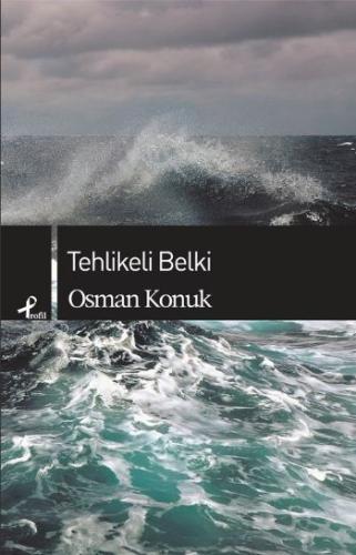 Tehlikeli Belki | Kitap Ambarı