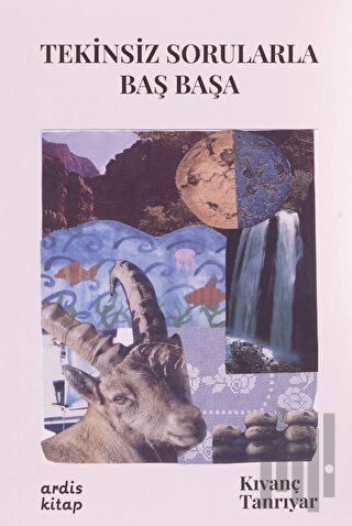 Tekinsiz Sorularla Baş Başa | Kitap Ambarı