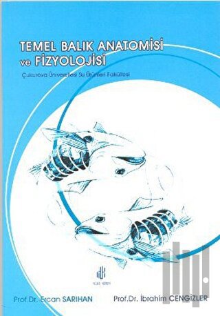 Temel Balık Anatomisi ve Fizyolojisi