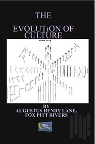 The Evolution of Culture