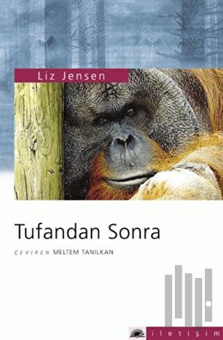Tufandan Sonra