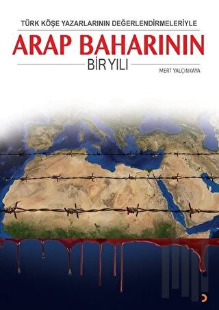 Türk Köşe Yazarlarının Değerlendirmeleriyle Arap Baharının Bir Yılı