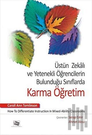 Üstün Zekalı ve Yetenekli Öğrencilerin Bulunduğu Sınıflarda Karma Öğretim
