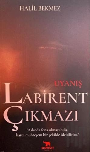 Uyanış Labirent Çıkmazı