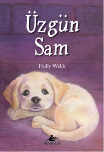 Üzgün Sam