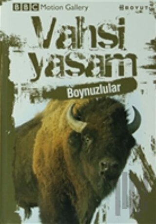 Vahşi Yaşam-Boynuzlular (Ciltli)