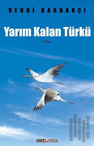 Yarım Kalan Türkü