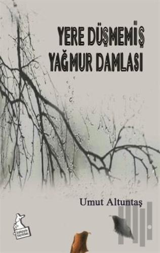 Yere Düşmemiş Yağmur Damlası