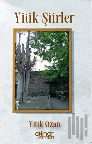 Yitik Şiirler