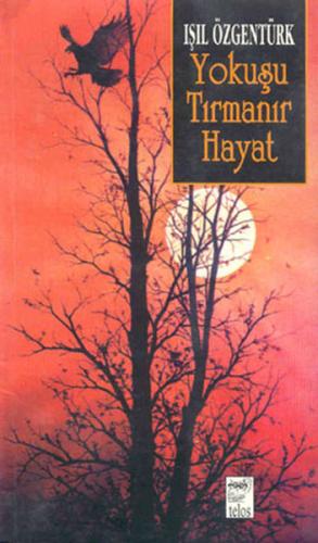 Yokuşu Tırmanır Hayat | Kitap Ambarı