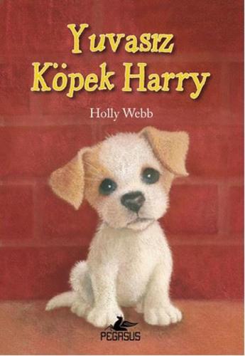 Yuvasız Köpek Harry | Kitap Ambarı